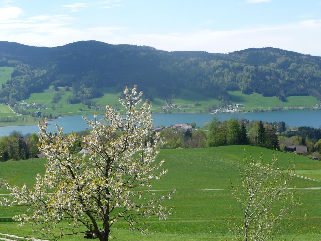 Familienferienhof Stabauer Zell am Moos Exterior photo